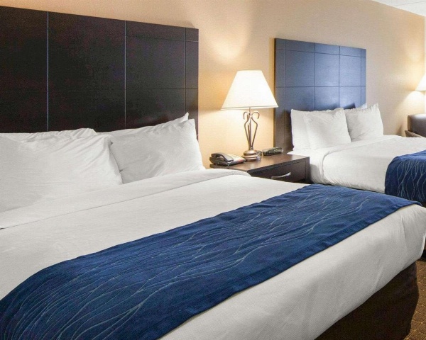 Comfort Inn Oak Ridge image 7